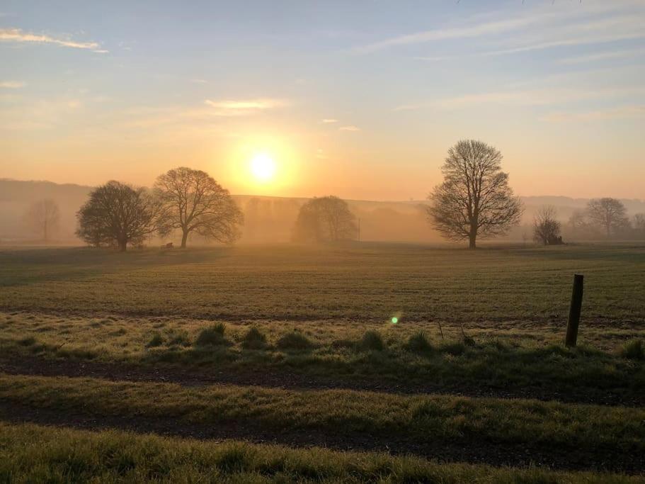 Winterborne Lodge Blandford Forum Bagian luar foto