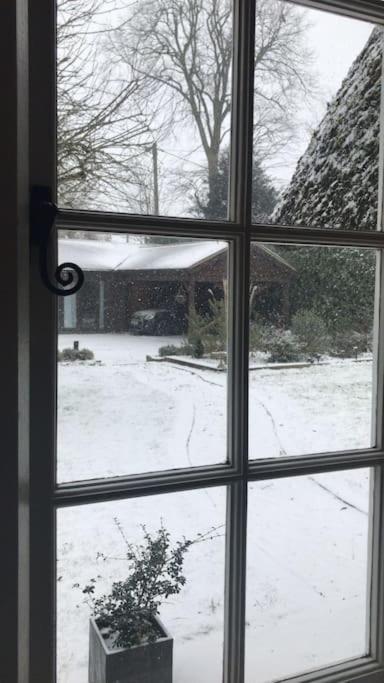 Winterborne Lodge Blandford Forum Bagian luar foto