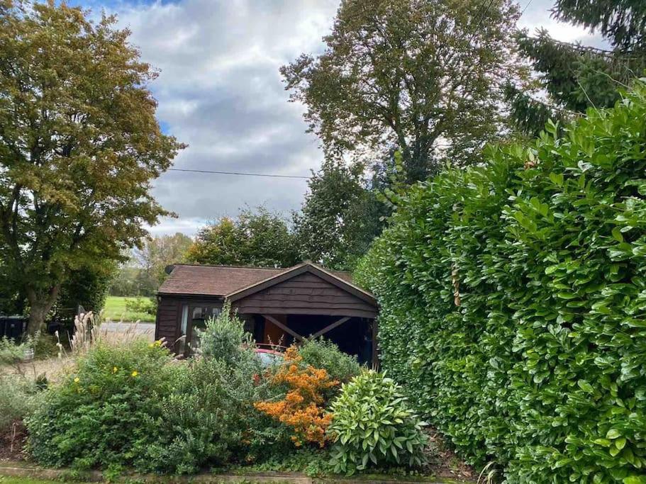 Winterborne Lodge Blandford Forum Bagian luar foto